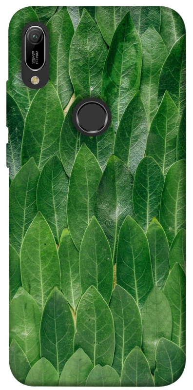 Чехол на Huawei Y6 (2019) Листья фото 1 из 1