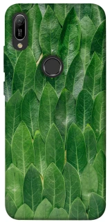 Чохол на Huawei Y6 (2019) Листя фото 1 з 1