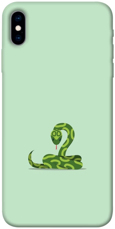 Чохол на Apple iPhone X (5.8") Змійка фото 1 з 1