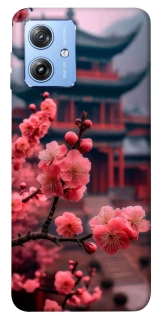 Чохол на Motorola Moto G84 Flowers v29 фото 1 з 1