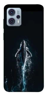 Чехол на Motorola Moto G23 Whale фото 1 из 1