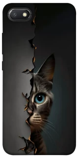 Чехол на Xiaomi Redmi 6A Кот-подглядыватель v2 фото 1 из 1