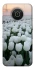 Чехол на Nokia X10 / X20 Flowers v1 фото 1 Чехол на Nokia X10 / X20 Flowers v1 фото 1 из 1