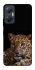 Чехол на Infinix Hot 20 5G Leopard v4 фото 1 Чехол на Infinix Hot 20 5G Leopard v4 фото 1 из 1