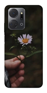 Чохол на Huawei Honor X7a Ромашка v4 фото 1 з 1