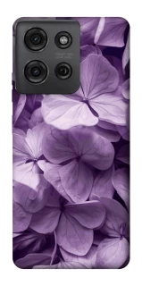 Чохол на Motorola Moto G75 Floral Symphony фото 1 з 1