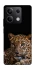 Чехол на Xiaomi Redmi Note 13 5G Leopard v4 фото 1 из 1