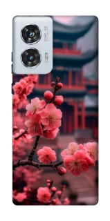 Чохол на Motorola Edge 50 Fusion Flowers v29 фото 1 з 1