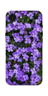 Чохол на Apple iPhone 17e (6.1") Flowers v17 фото 1 з 1