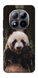 Чехол на Xiaomi Redmi Note 15 Pro 5G Панда фото 1 из 1