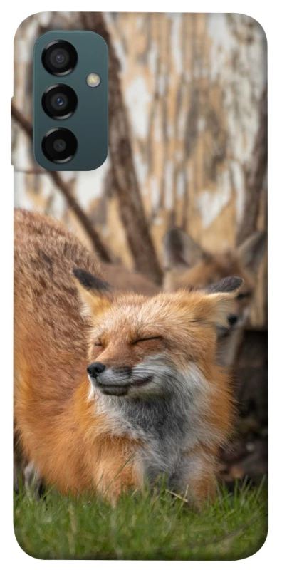 Чохол на Samsung Galaxy M34 5G Лисиця фото 1 з 1