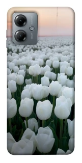 Чохол на Motorola Moto G14 Flowers v1 фото 1 з 1