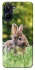 Чехол на Realme 10 4G Кролики фото 1 из 1