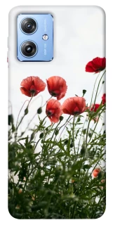 Чехол на Motorola Moto G84 Поле маков фото 1 из 1
