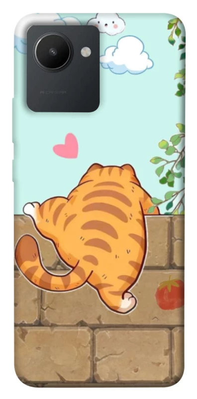 Чохол на Realme C30s Cat the meow фото 1 з 1