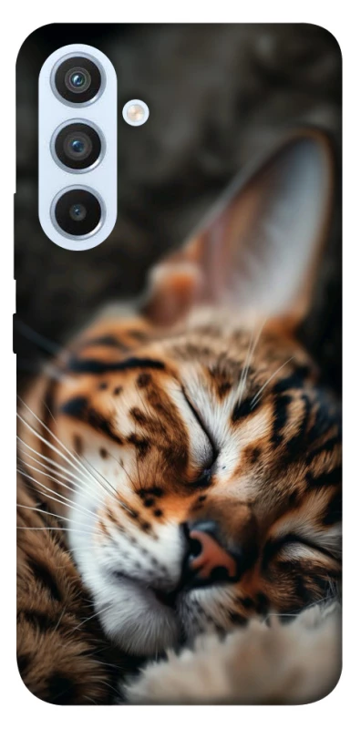 Чехол на Samsung Galaxy A54 5G Cat paws фото 1 из 1