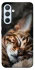 Чехол на Samsung Galaxy A54 5G Cat paws фото 1 из 1
