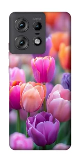 Чохол на Motorola Edge 50 Pro Тюльпанове поле фото 1 з 1