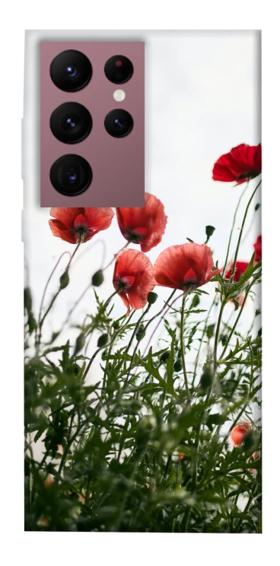 Чехол на Samsung Galaxy S22 Ultra Поле маков фото 1 из 1