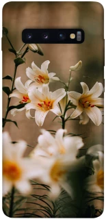 Чохол на Samsung Galaxy S10+ Лілії фото 1 з 1