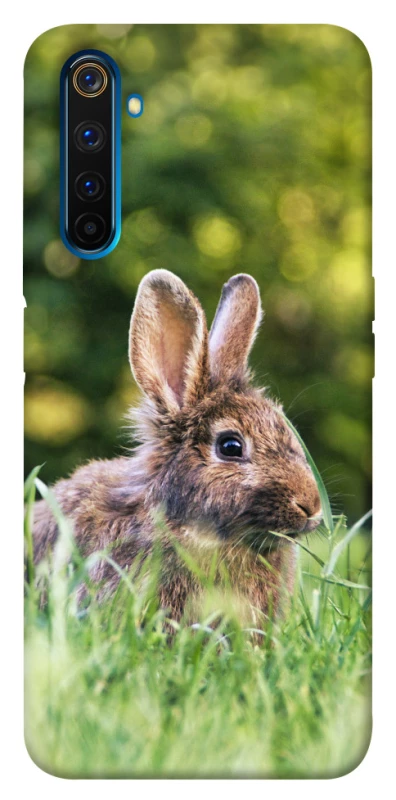 Чохол на Realme 6 Pro Кролики фото 1 з 1