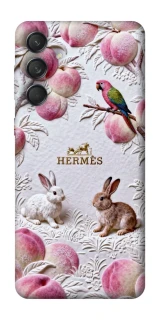Чехол на Samsung Galaxy M55 Hermes фото 1 из 1