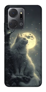 Чехол на Huawei Honor X7a Кот под луной фото 1 из 1