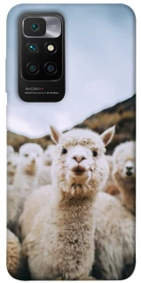 Чохол на Xiaomi Redmi 10 Лама фото 1 з 1