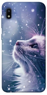 Чехол на Samsung Galaxy A10 (A105F) Snow cat фото 1 из 1