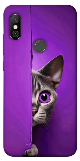 Чохол на Xiaomi Redmi Note 6 Pro Кіт-підглядач фото 1 з 1
