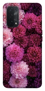 Чохол на Oppo A54 5G / A74 5G Garden1 фото 1 з 1