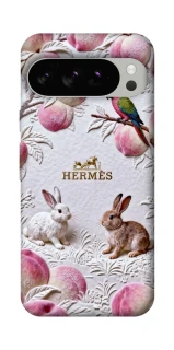 Чехол на Google Pixel 10 Pro Hermes фото 1 из 1