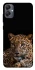Чохол на Samsung Galaxy A05 Leopard v4 фото 1 з 1