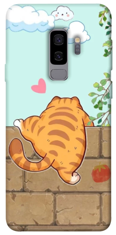 Чохол на Samsung Galaxy S9+ Cat the meow фото 1 з 1