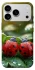 Чохол на Apple iPhone 17 Pro Max (6.9") Flowers v23 фото 1 з 1