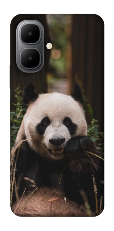 Чехол на Infinix Smart 10 Панда фото 1 из 1