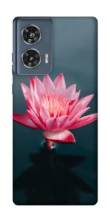 Чохол на Motorola Edge 50 Лотос фото 1 з 1