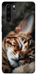 Чехол на Huawei P30 Pro Cat paws фото 1 из 1