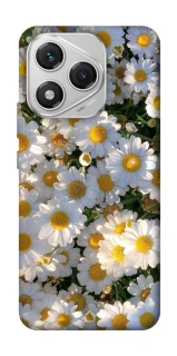 Чехол на Honor 400 Lite Поле ромашек фото 1 из 1