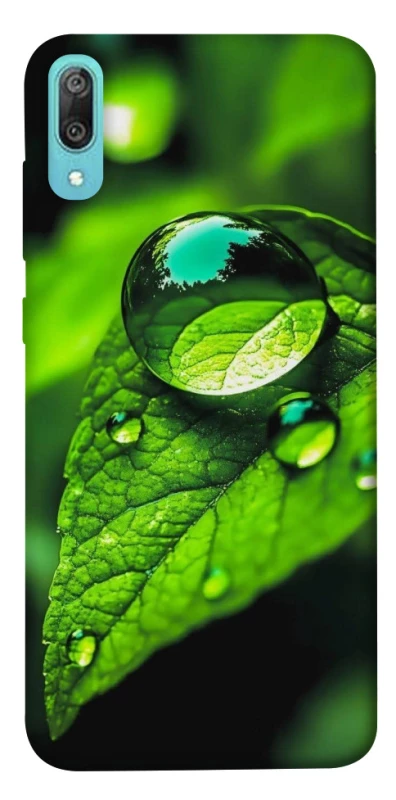 Чохол на Huawei Y6 Pro (2019) Flowers v16 фото 1 з 1