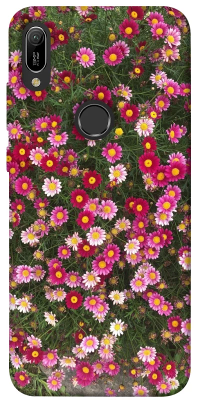 Чехол на Huawei Y6 (2019) Flowers v8 фото 1 из 1