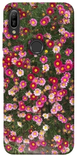 Чехол на Huawei Y6 (2019) Flowers v8 фото 1 из 1
