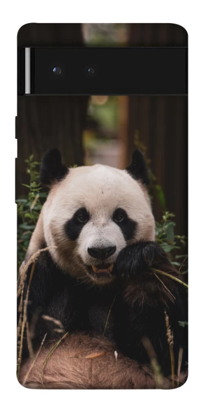 Чохол на Google Pixel 6 Панда фото 1 з 1
