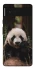 Чохол на Google Pixel 6 Панда фото 1 з 1
