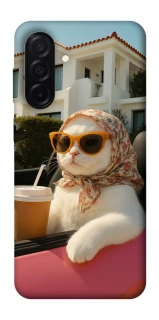Чехол на Samsung Galaxy A26 5G Stylish Cat Cruise фото 1 Чехол на Samsung Galaxy A26 5G Stylish Cat Cruise фото 1 из 1