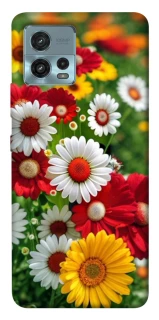 Чохол на Motorola Moto G72 Flowers v11 фото 1 з 1