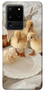 Чехол на Samsung Galaxy S20 Ultra Easter Vibes фото 1 из 1