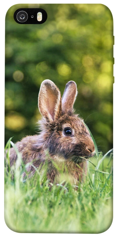 Чехол на Apple iPhone 5/5S/SE Кролики фото 1 из 1