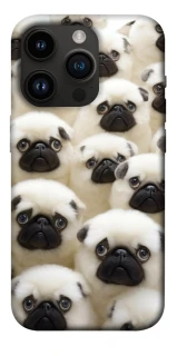 Чохол на Apple iPhone 14 Pro (6.1") Doggy Pug Love фото 1 з 1