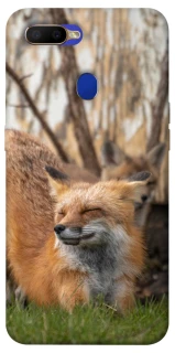 Чехол на Oppo A5s Лиса фото 1 из 1